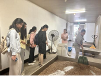 1761033899531064441.png image.png